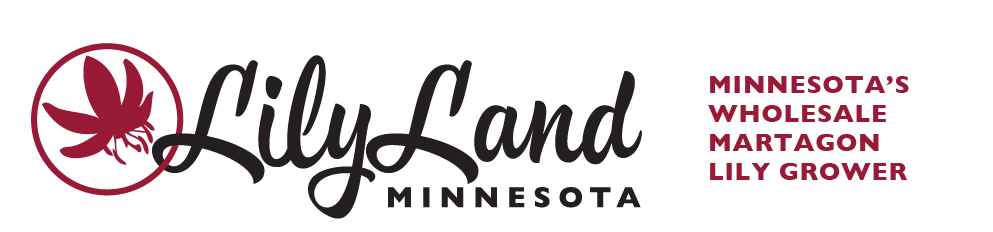 LilyLand of Minnesota